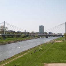 Neckarwiese