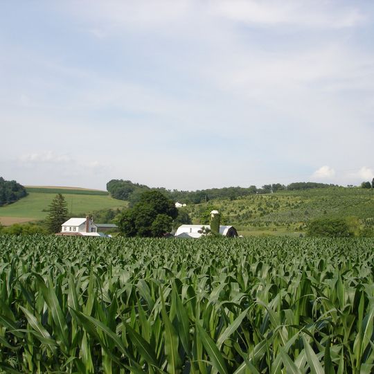 Springfield Township