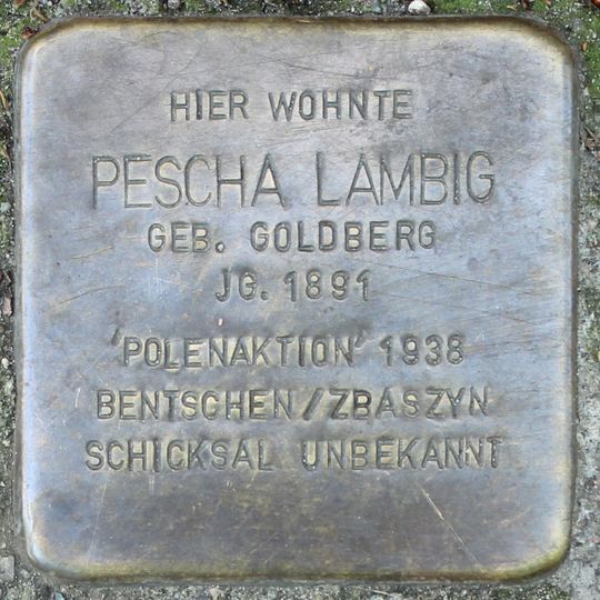 Stolperstein dedicated to Pescha Lambig
