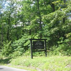 Moshannon State Forest