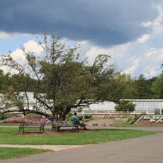 Elizabeth Park