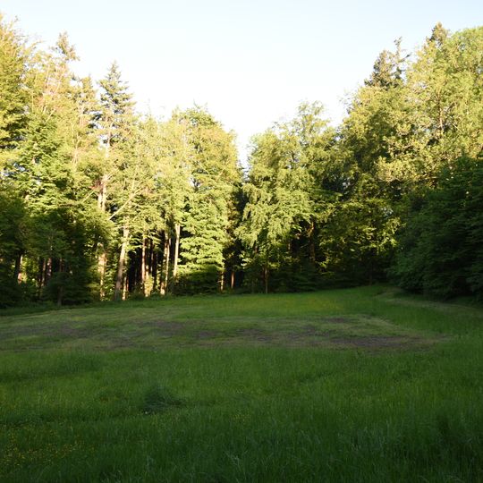 Waldwiese und Baumgruppe, Plüderhausen