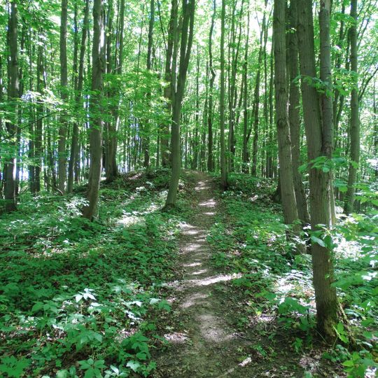 Marvelės II piliakalnis