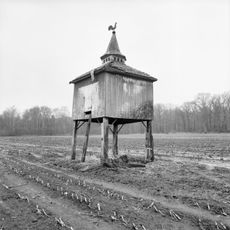 Schoonheten: duiventil