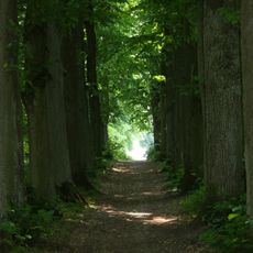 Park z aleją lipową