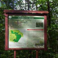 Nature reserve Dąbrowa Radziejowska