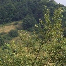 波洛內尼山國家公園