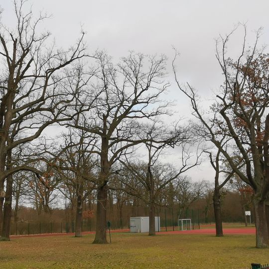 Naturdenkmal Die 9 Schillschen-Eichen
