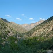 Sabino Canyon