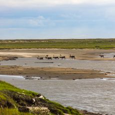 Réserve naturelle du delta de la Léna