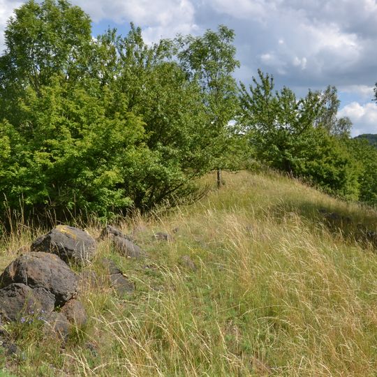 Pastviště u Okounova