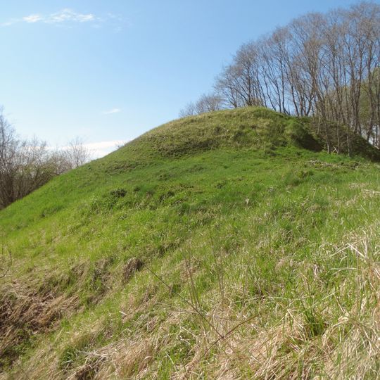 Grodzisko w Żuwicach