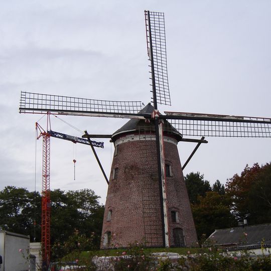 De Grote Napoleon, Hamme