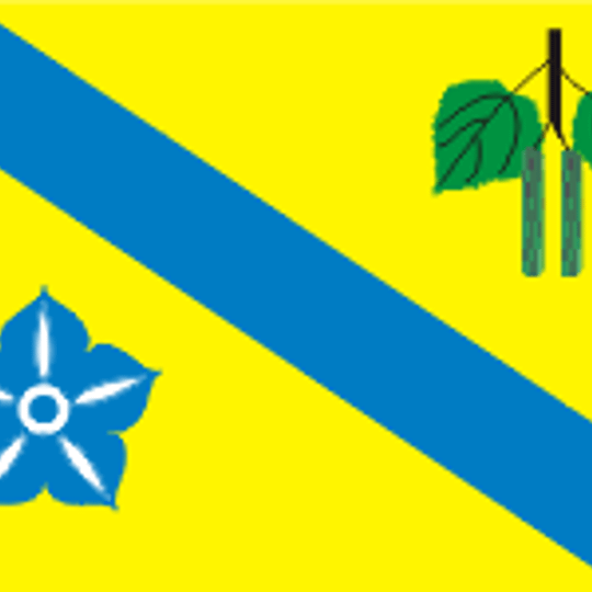 Distretto di Berezne