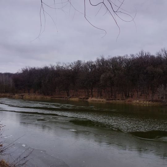 Novykivskyi Forestry Preserve