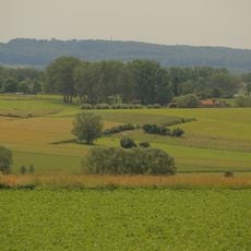 Bosberg