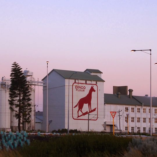 Dingo Flour sign