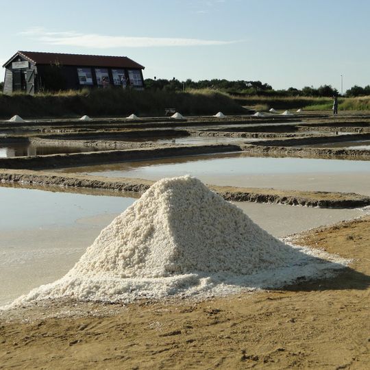 Port des Salines