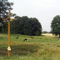 distretto di Biała Podlaska