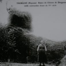 Château de Thorigné-en-Charnie