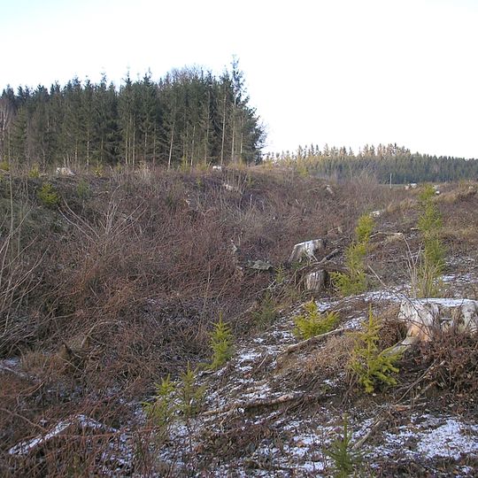 Ringwall Mittelstetten