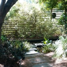 J. C. Raulston Arboretum