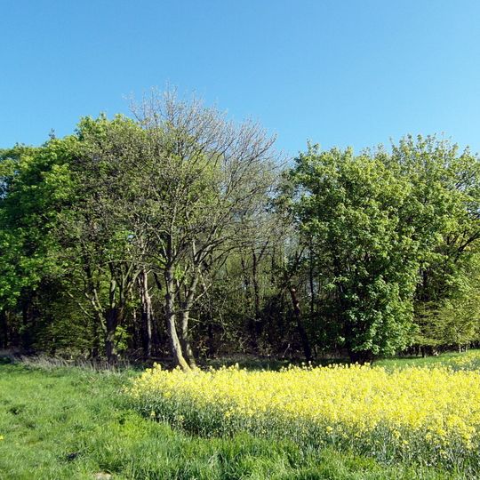 Kolenfelder Stadtfeld