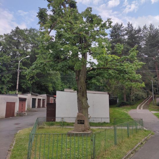 Petra Bezruče Lime Tree with erratic stone in Pustkovec‎