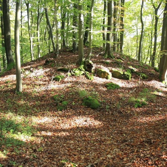 Burgstall Hoher Stein