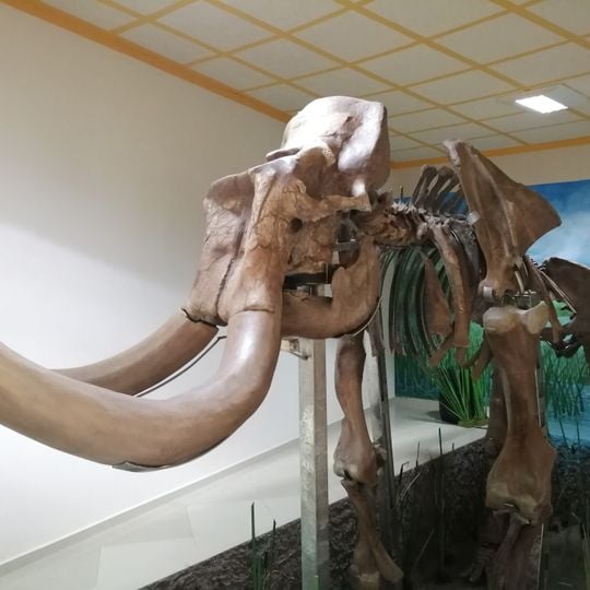Mamut de Tultepec