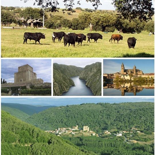 Provincia di Salamanca