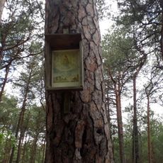 Obrázek severně od Hvozdu