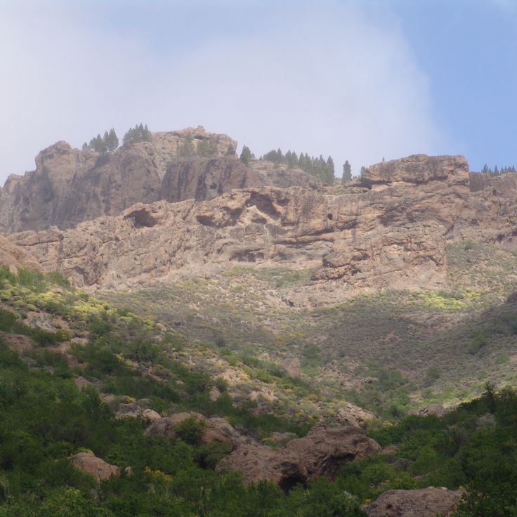 Tamadaba Natural Park