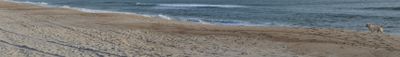 Panoramic View 1