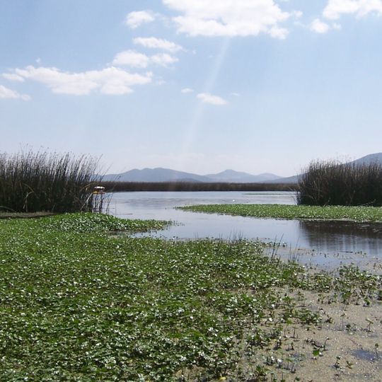 Laguna de Tecocomulco