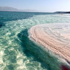 Dead Sea Mushrooms