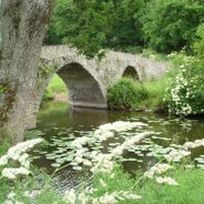 Países da Loira pouco conhecidos: castelos, jardins botânicos e sítios históricos