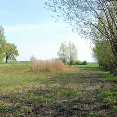 Hederaue mit Thueler Moorkomplex