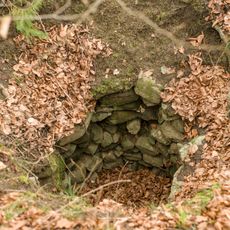 Schlossbühl Limpach