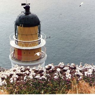 Bass Rock Lighthouse