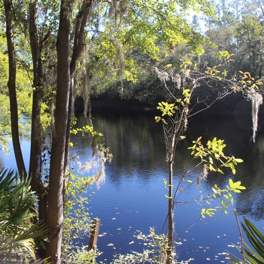 Big Shoals State Park