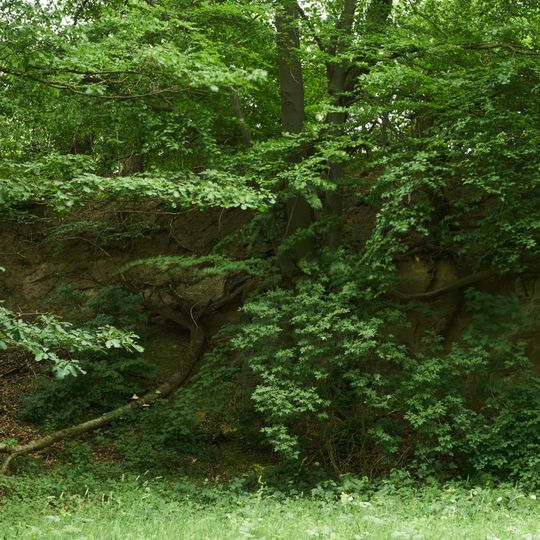 Alte Steinbruchwände und Flurgehölze