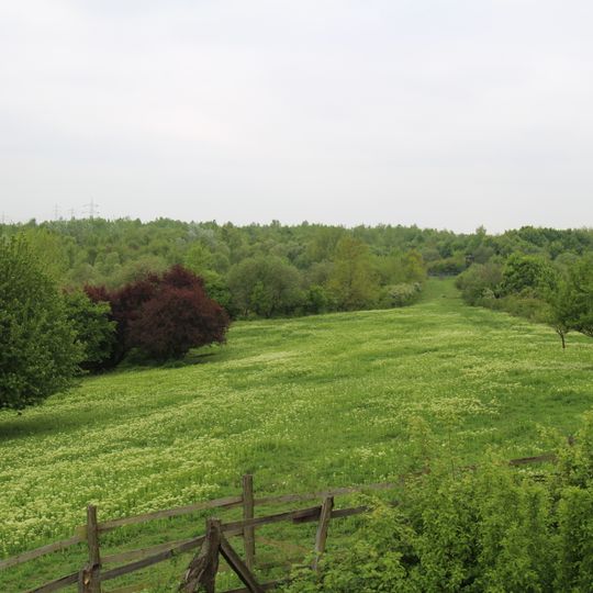 Weilbacher Kiesgruben