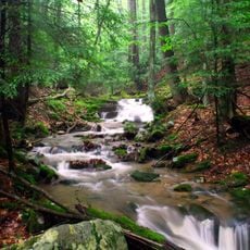 Holly River State Park