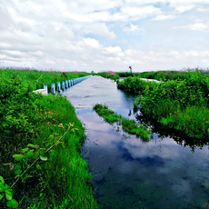 Kyzylagach National Park