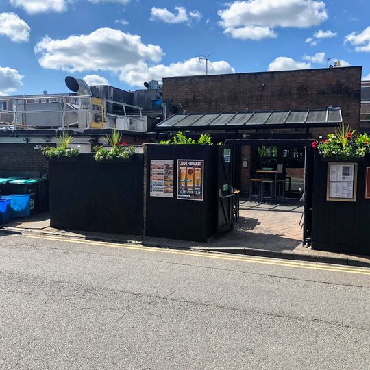 The White Swan