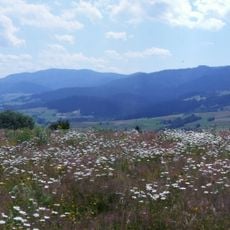 Gorce Mountains