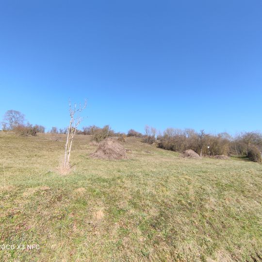 Naturdenkmal Halbtrockenrasen bei Unterwittighausen Mühlberg