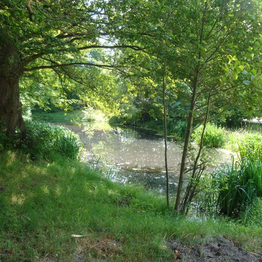 Park dworski w Lubuczewie