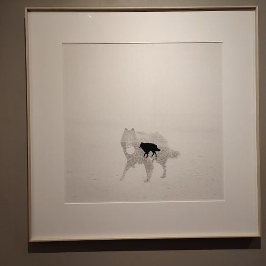Gallery Camera Obscura